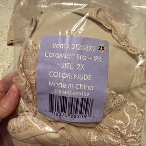 Car Mia Nude Lace Bra - 2X
